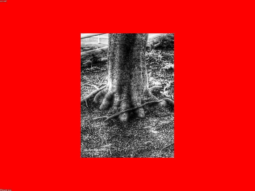 សារៈសំខាន់នៃការបង្ហោះយ៉ាងច្នៃប្រឌិត